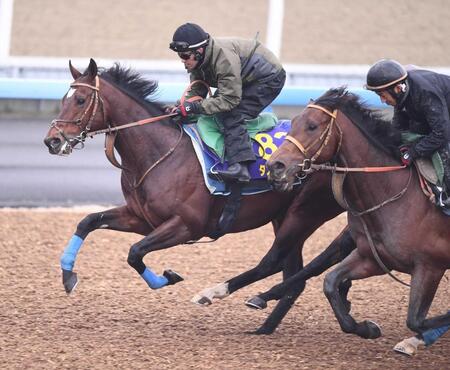 【有馬記念】タスティエーラ　３頭併せで手応え十分フィニッシュ「フレッシュで活気のある状態を維持」堀師も太鼓判