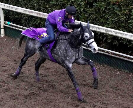 　前走落馬競走中止の雪辱を果たしたいアドマイヤテラ