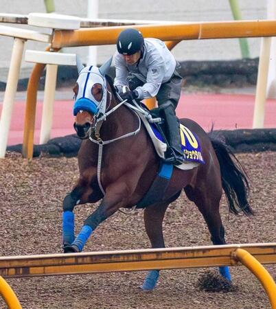 　春秋グランプリ制覇へパワフルな動きを披露したメイショウタバル（撮影・石湯恒介）
