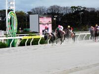 　重賞２勝目を挙げたハッピーマン（左）＝撮影・中山伸治