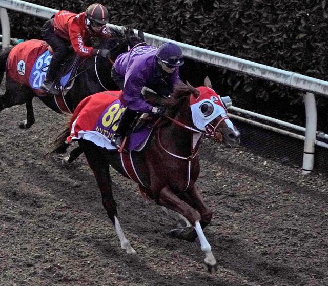 シンエンペラー　状態↑も時計に不満