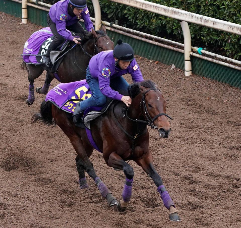　栗東坂路を駆け上がるラヴェニュー（手前）