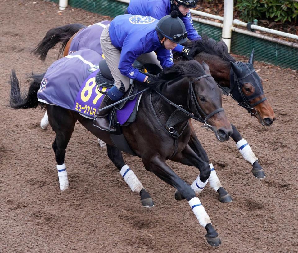 有馬記念】ミュージアムマイル あるぞ3歳戴冠！首差先着で好調
