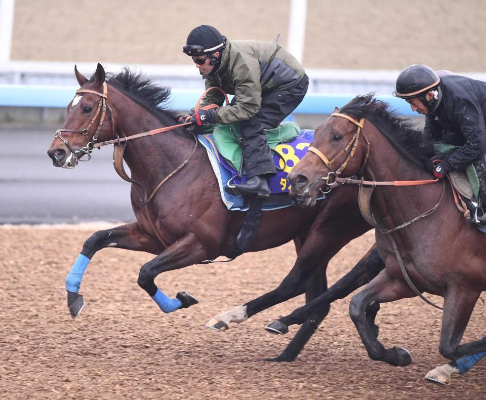 　３頭併せで先着を決めたタスティエーラ（左）＝撮影・園田高夫