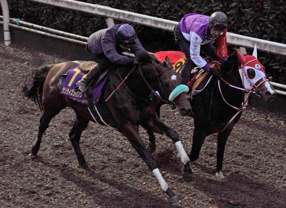 　久しぶりの芝戦で一発を狙うサンライズジパング（左）＝撮影・西田忠信