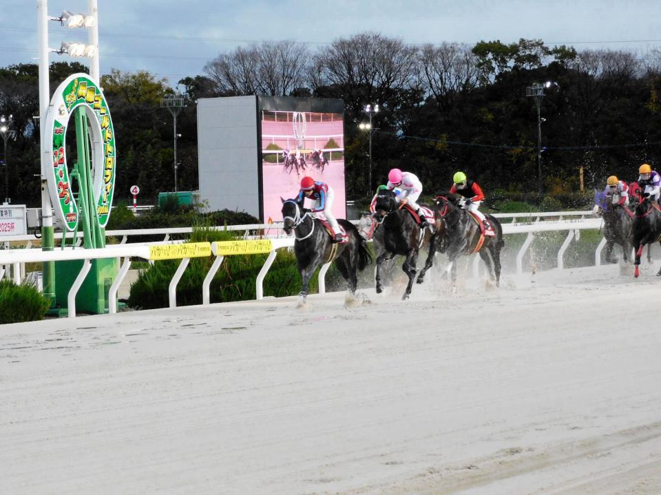 　重賞２勝目を挙げたハッピーマン（左）＝撮影・中山伸治