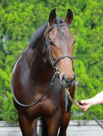 【ホープフルＳ】アンドゥーリル　初距離で折り合いが鍵　少し外めの６枠１２番からＧ１奪取へ