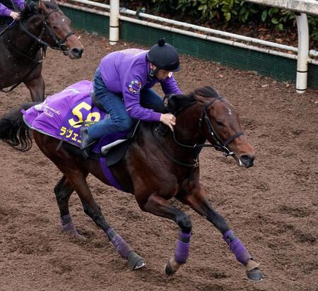 【ホープフルＳ】ラヴェニュー　熱発で回避　友道師「来年もある馬ですから」木曜朝に３９度の熱