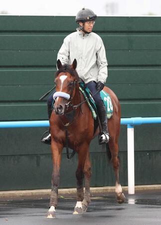　ショウナンガルフ