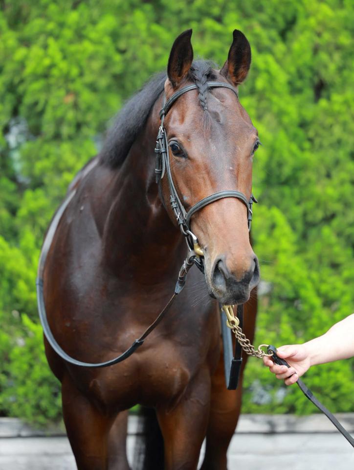 　アンドゥーリル