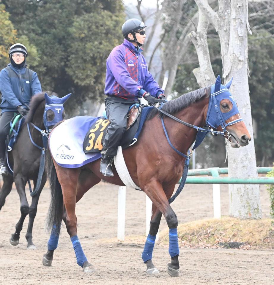 　プーシャンとのコンビで初陣Ｖを狙うアーティキュレート