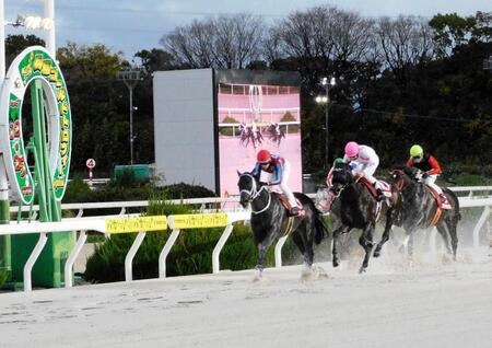 兵庫ゴールドＴを勝ったハッピーマンの次走はフェブラリーＳを予定