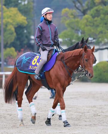 　ダノンデサイル