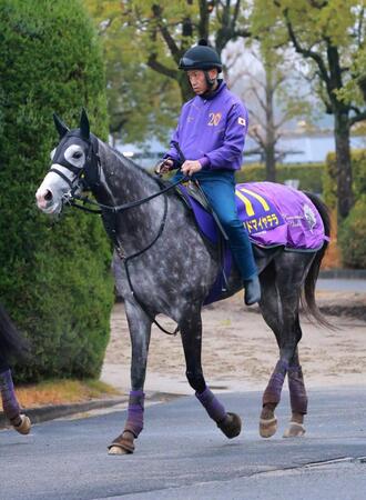 　逆襲に燃えるアドマイヤテラ