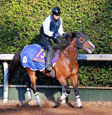 　上げ潮ムードのエキサイトバイオ