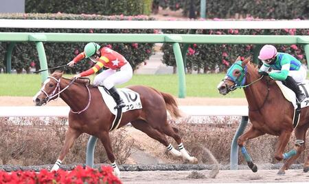 　２歳未勝利を制したコウジハラ（左）＝撮影・園田高夫