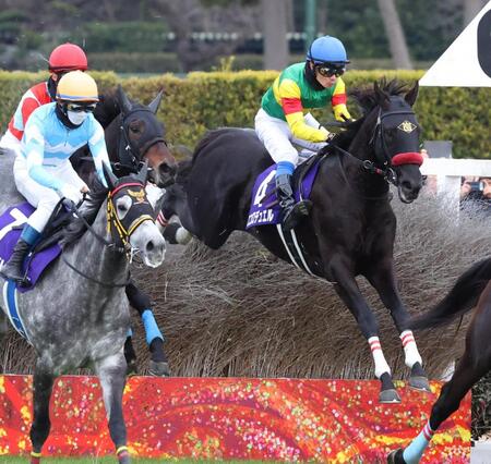 　大竹柵障害を飛越するエコロデュエル（右）