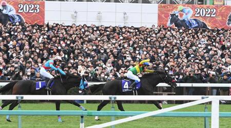 　ネビ-イーム（左）との一騎打ちを制したエコロデュエル（撮影・園田高夫）