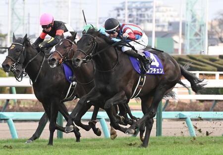 　ホープフルＳを制したロブチェン（右）＝撮影・園田高夫