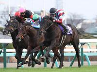 　ホープフルＳを勝利したロブチェン（右）