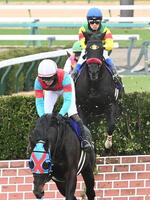 障害を飛越するエコロデュエル（右）＝中山競馬場（撮影・園田高夫）