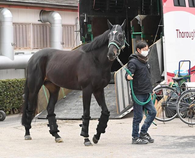 有馬記念】馬場状態から浮上するのはこの馬だ