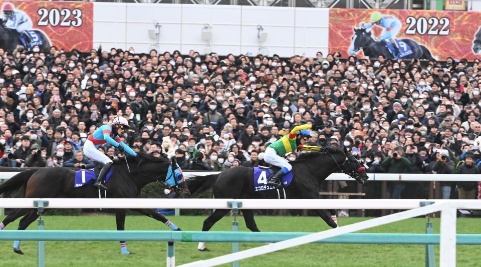 　ネビ-イーム（左）との一騎打ちを制したエコロデュエル（撮影・園田高夫）