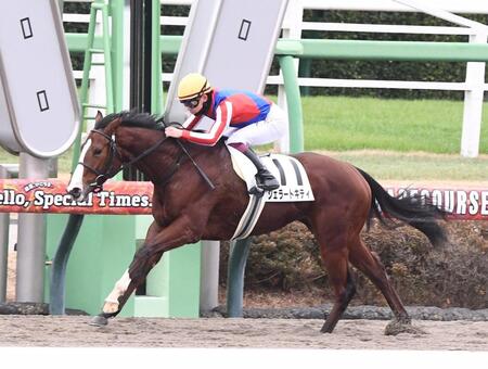 【新馬戦】ジェラートキティ　逃げ切り初Ｖ　デビュー１年目で２０勝・舟山「抜け出してからもフワフワせず、一生懸命走ってくれた」