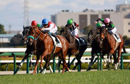 新馬戦を快勝したショウナンハヤナミ（左から２頭目）＝阪神競馬場（撮影・石湯恒介）