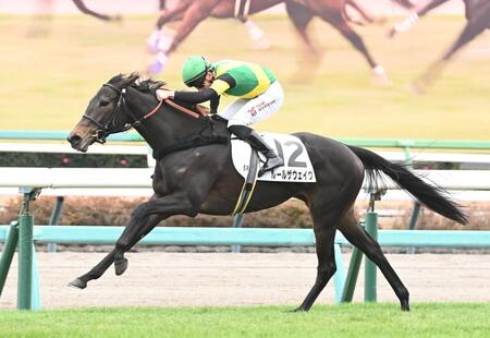 【新馬戦】ルールザウェイヴ　横綱相撲でデビュー星　マーカンドはスピード性能評価「スタートが良く、すっと流れに乗っていけた」