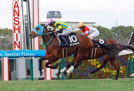 アスミル＝阪神競馬場（撮影・石湯恒介）