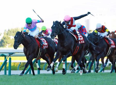 　接戦をものにしたルガル（左から２頭目）＝撮影・石湯恒介