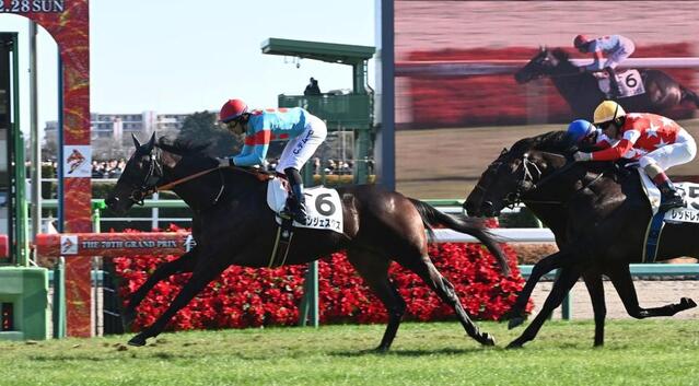 中山新馬戦でコントレイル産駒コンジェスタスが1馬身差でデビュー星