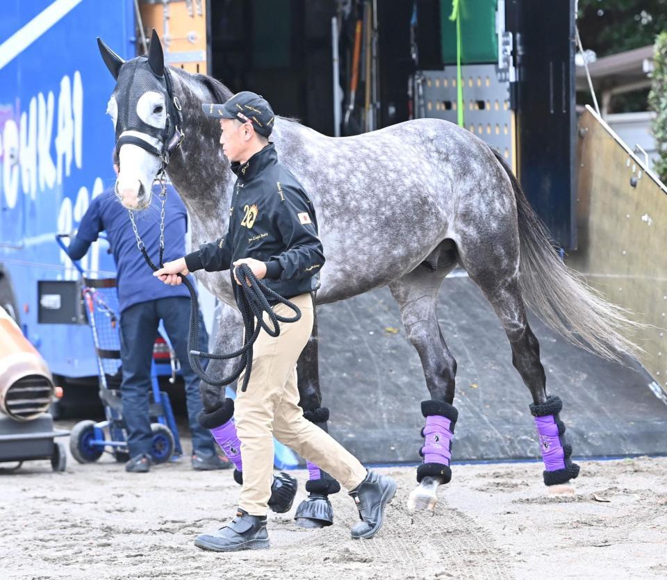 　競馬場に到着したアドマイヤテラ（撮影・持木克友）