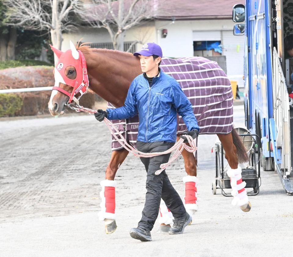 　競馬場に到着したシンエンペラー（撮影・持木克友）
