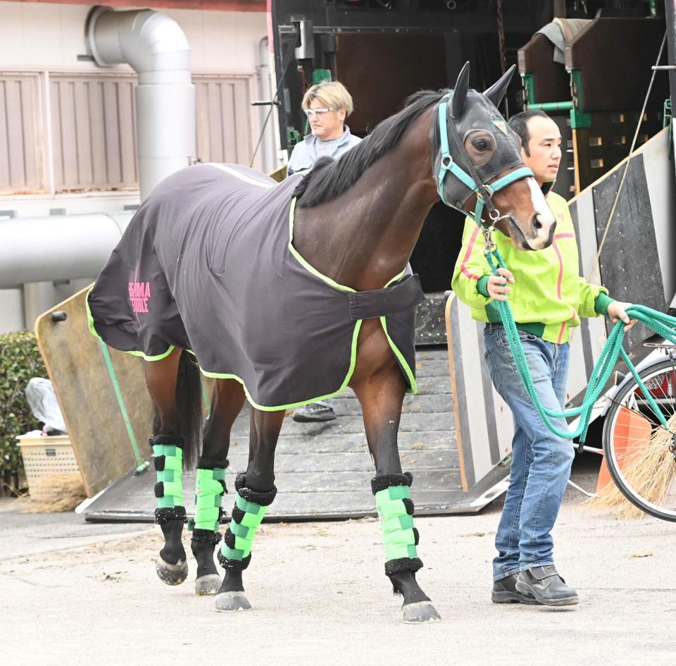 競馬場に到着したエルトンバローズ＝中山競馬場（撮影・持木克友）