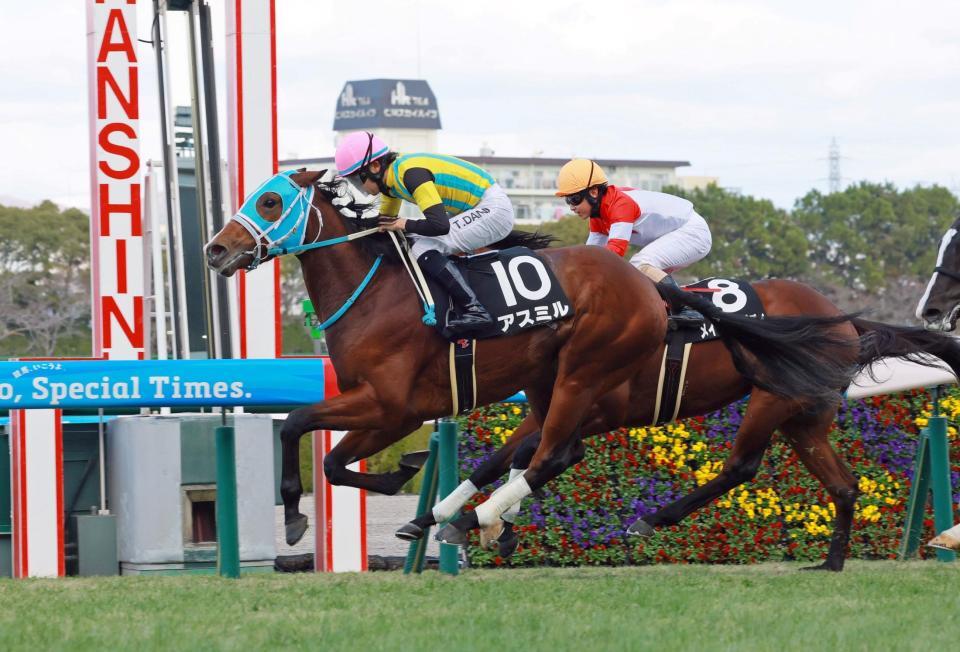 アスミル＝阪神競馬場（撮影・石湯恒介）