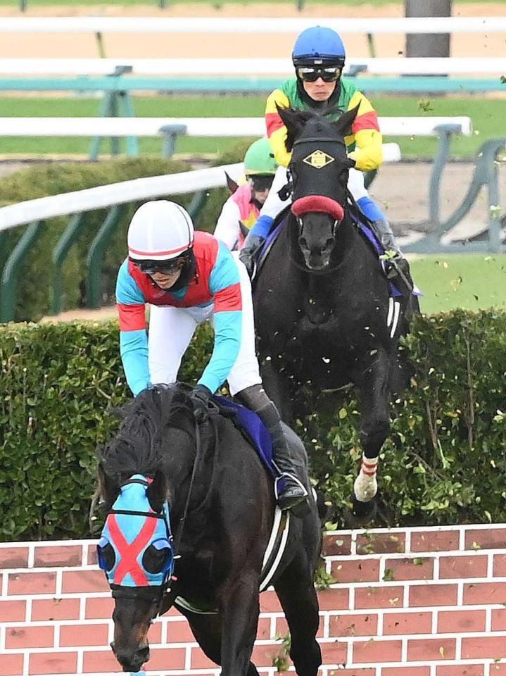 　障害を飛越するエコロデュエル（右）