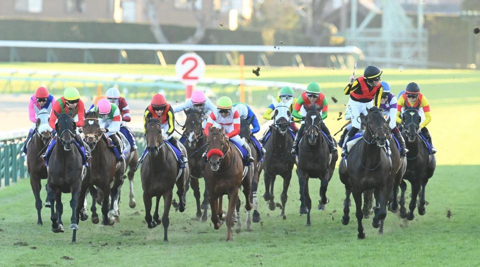 　有馬記念を制したミュージアムマイル（右端）＝撮影・園田高夫