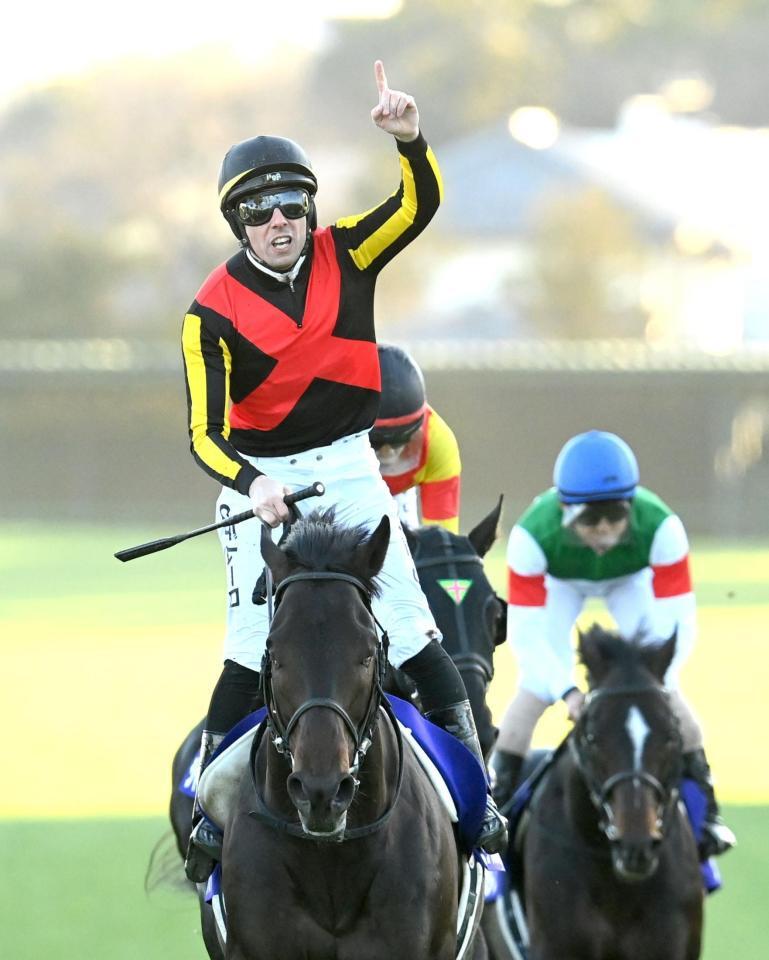　有馬記念を制したミュージアムマイル。Ｃ・デムーロがポーズを決める（撮影・園田高夫）