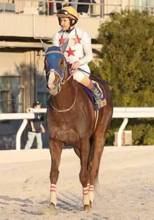 　２着に終わったミッキーファイト