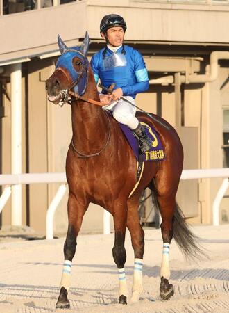 　６着に沈んだナルカミ