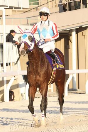 　引き揚げるナチュラルライズ