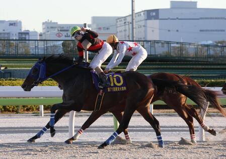 　東京大賞典を制したディクテオンとガッツポーズする矢野貴