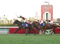 　力強く差し切ったミュージアムマイルとＣ・デムーロ（撮影・持木克友）