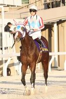 　引き揚げるナチュラルライズ