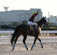　東京大賞典を制し観衆の声援に応える矢野貴