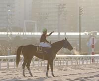 　観衆の声援に応える矢野貴