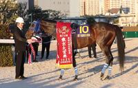 　東京大賞典を制したディクテオン