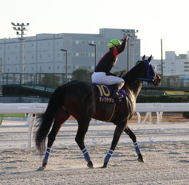 地方競馬】ディクテオンが20年ぶりに地方馬による東京大賞典制覇を達成